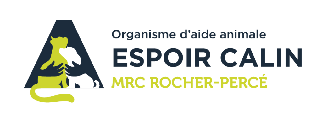 OAA Espoir Câlin MRC Rocher Percé