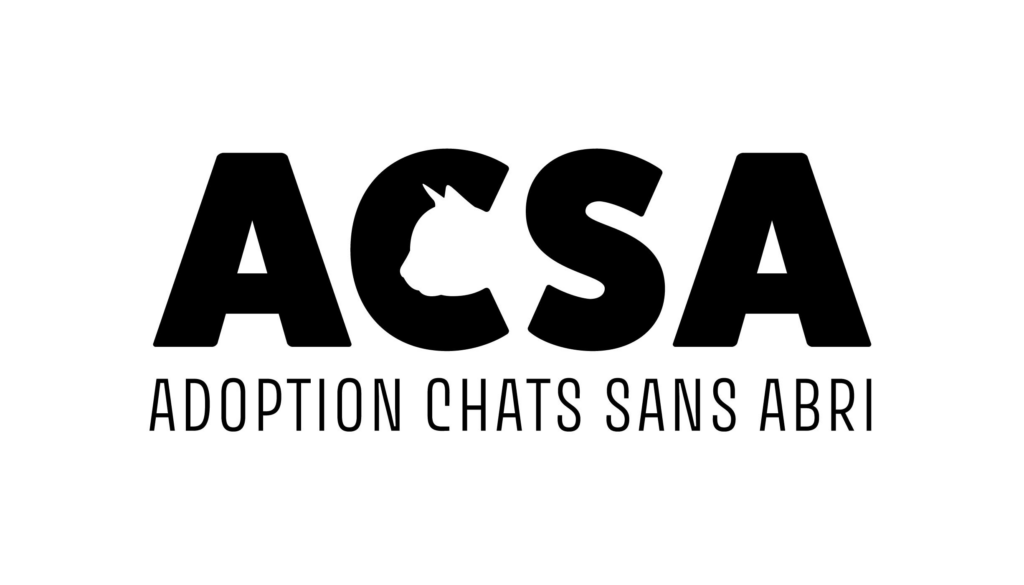 Adoption Chats Sans Abri